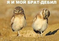 УВБ: тупой и еще тупее 1 52250