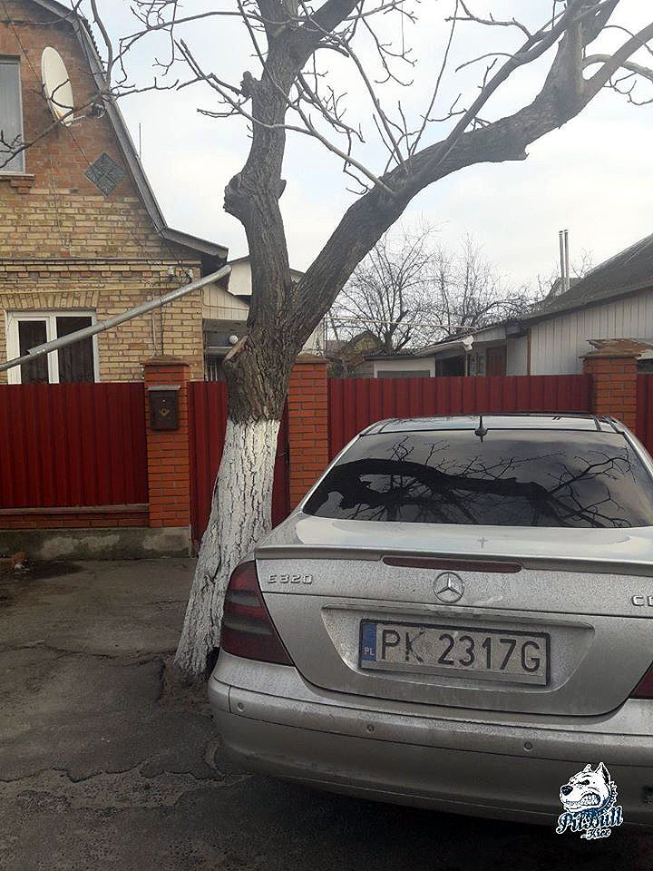 Помощник Медведчука устроил гонки с полицией на Киевщине 3 82786140 994896300910906 8406019904792166400 o