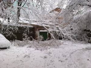 Вода в столичных бюветах отравлена - на подходе канализация 2 big 291220091701