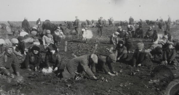 Манкурты из «Л-ДНР», что пережили ваши предки в 1932-ом? 3 mnkdnr2