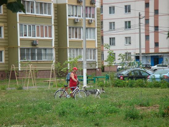«Петушиный угол» и его обитатели 4 novostroy1618 1